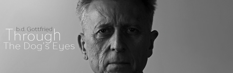 thatericalper_bill_bd_gottfried_2017