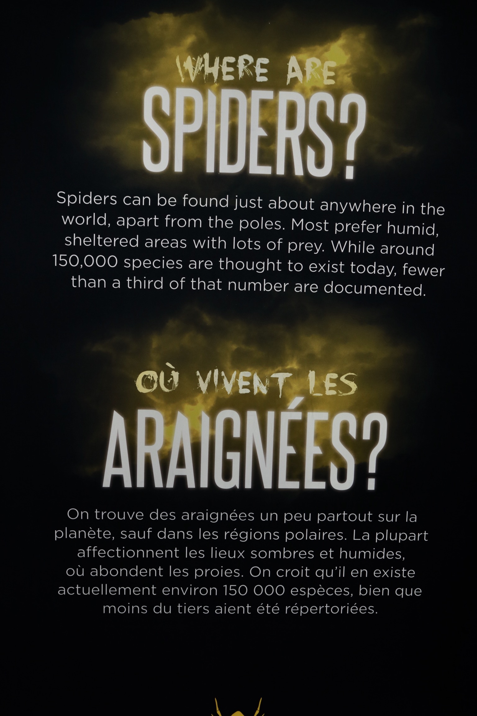 852AEC74-4F3E-4DD0-BEDB-C34C79DC6C9B